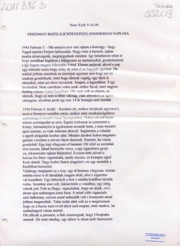 Friedmann-Erzsebet